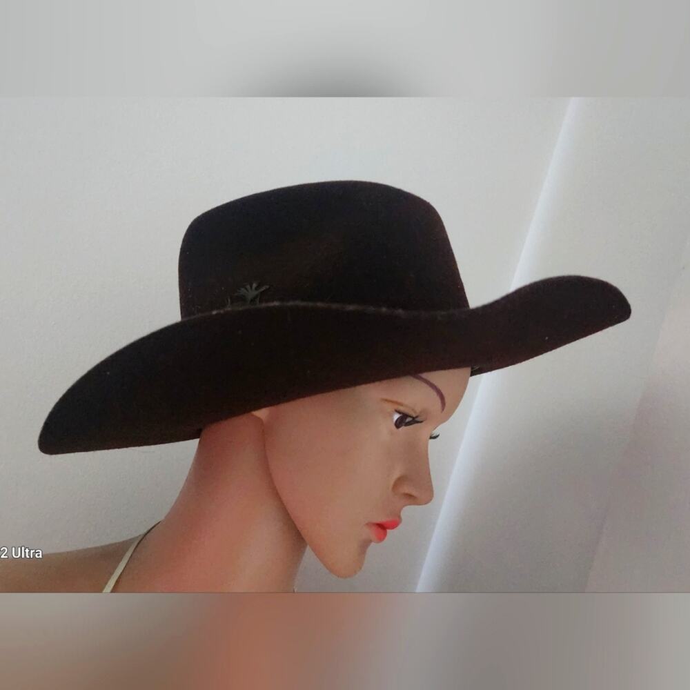Vintage Felt Wide-Brimmed Cowboy Hat